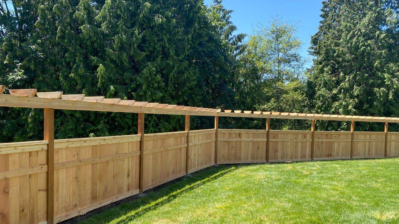 Untitled design (24)